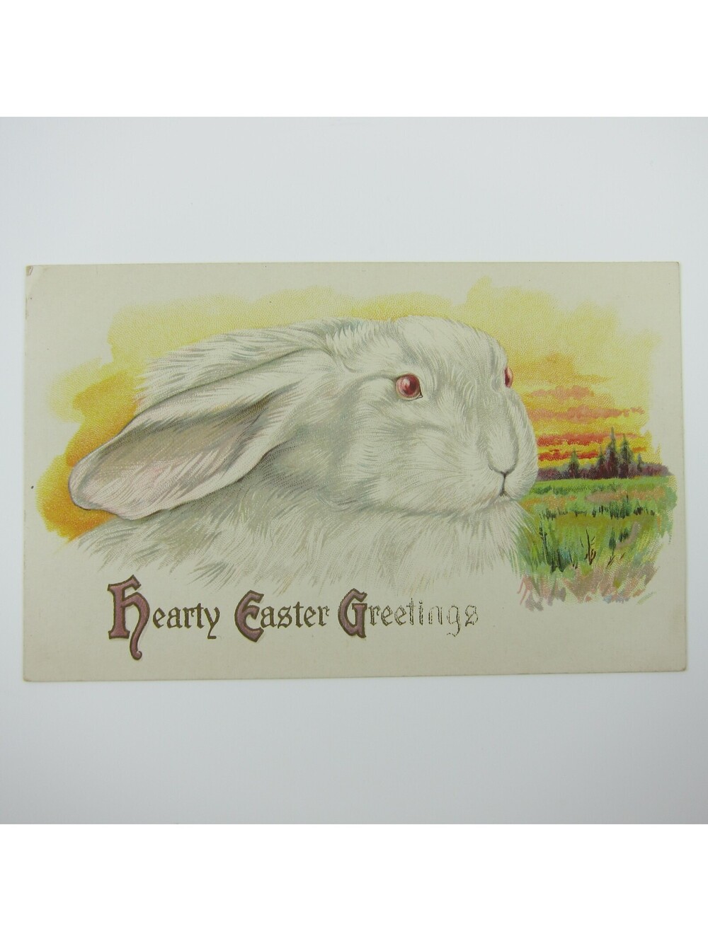 Easter Postcard White Bunny Rabbit Yellow Gold Sky Green Grass Embossed Antique